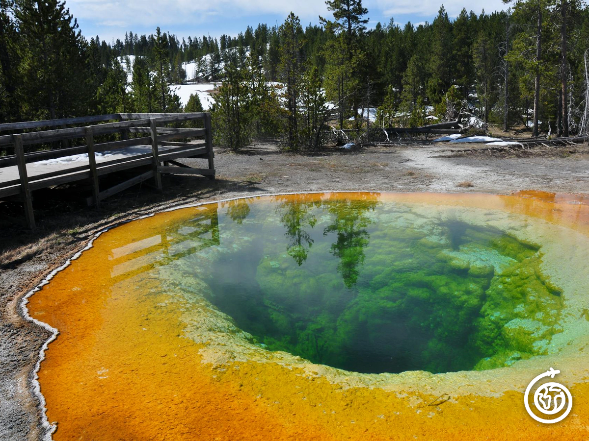 Winter Yellowstone Activities