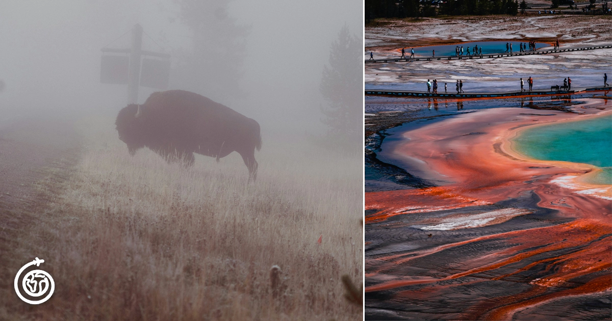 Best time to visit yellowstone