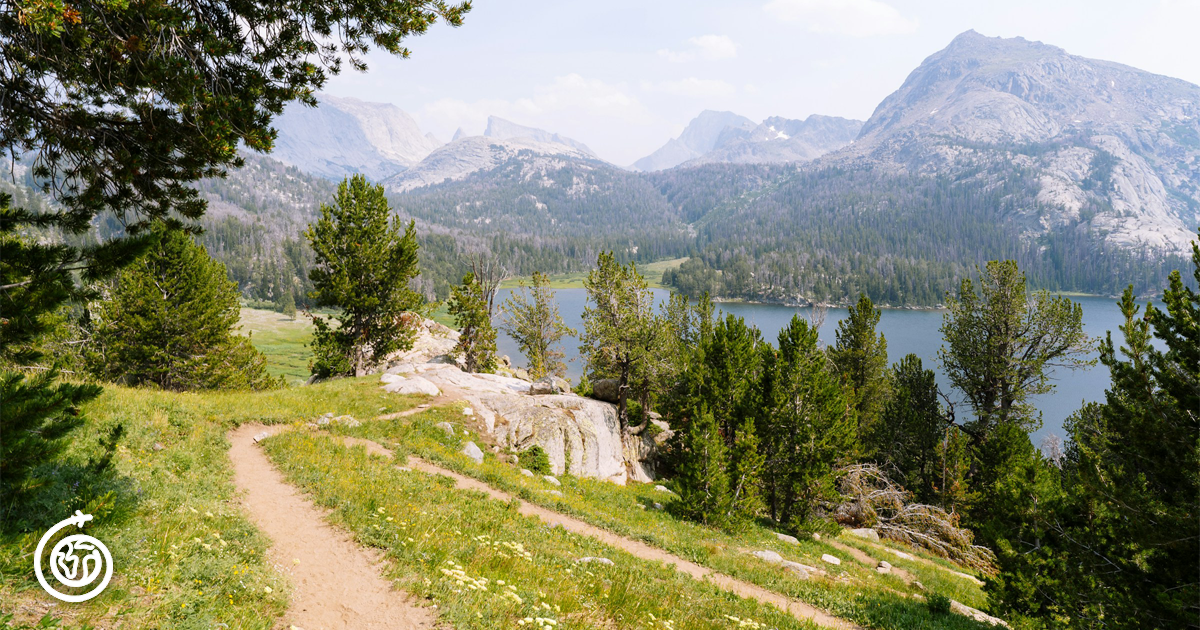 Grand Teton National Park view