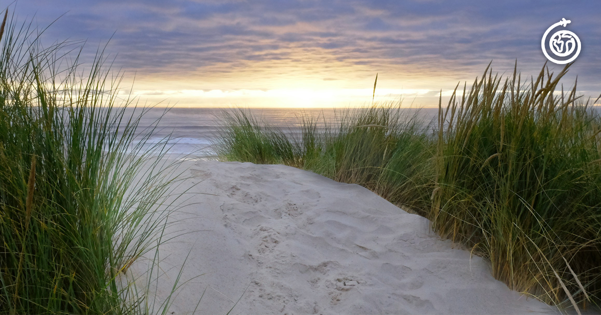 Oregon Beach